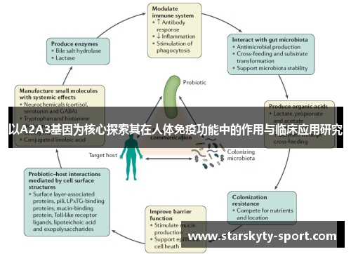 以A2A3基因为核心探索其在人体免疫功能中的作用与临床应用研究